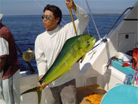 Mexican Fishing and Boating